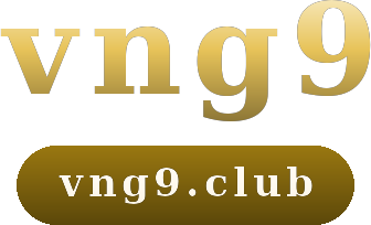 vng9 logo